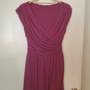 Anthropologie Velvet brand purple dress